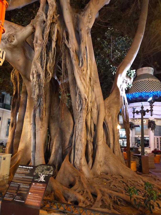City Center Alicante - Santa Lucia - Atico المظهر الخارجي الصورة